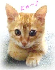 �j���@�`�j���A�`